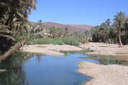 Westsahara, Marokko: Expeditionsreise Marokkos Süden - Dj Bani Oase